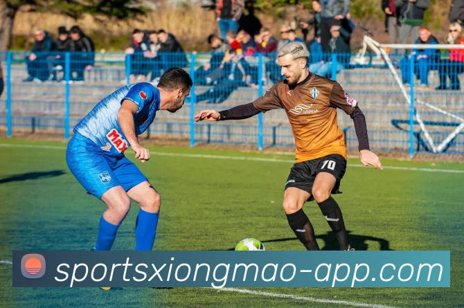 熊猫体育平台生态图